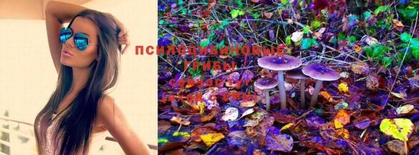 PSILOCYBIN Алексин
