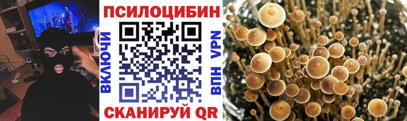 продажа наркотиков  Болгар  Галлюциногенные грибы ЛСД 
